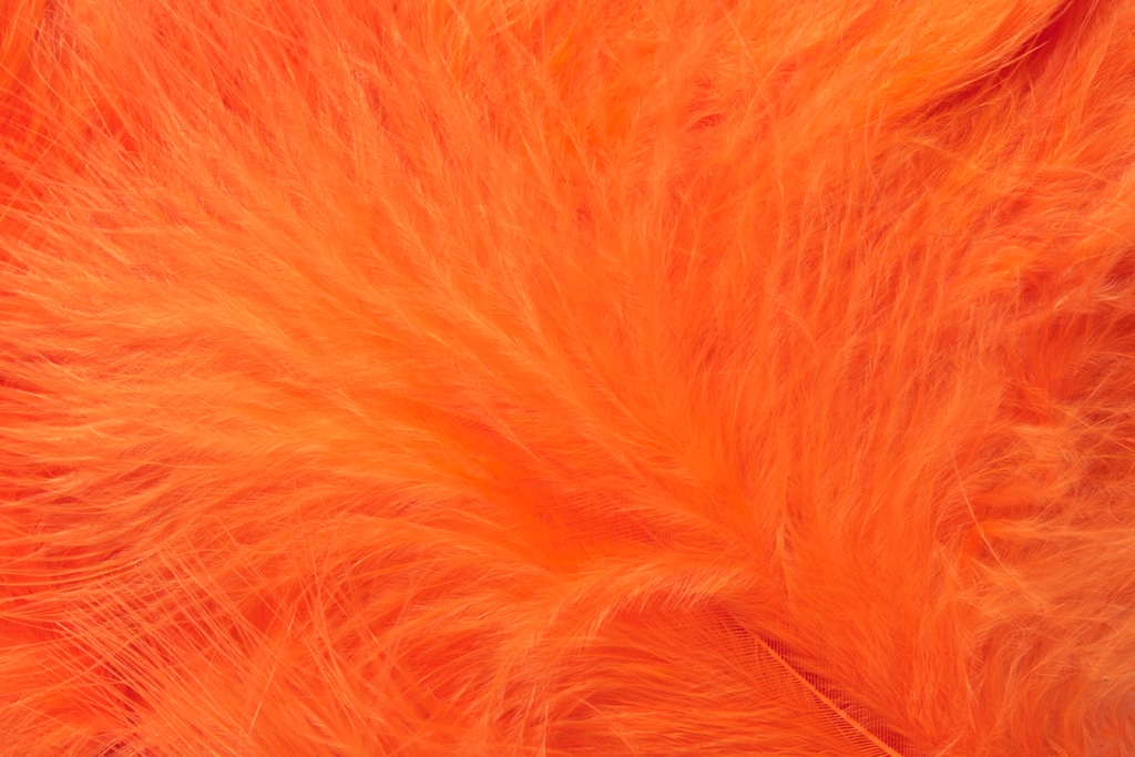 Premium Selected Marabou