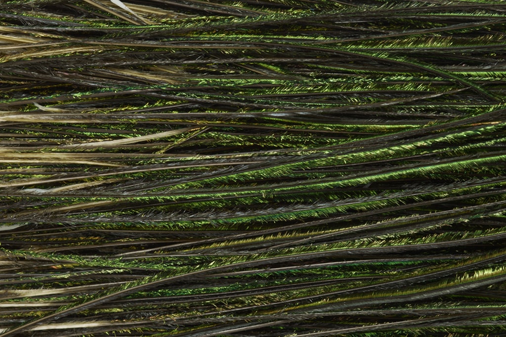 Premium Selected Peacock Herl