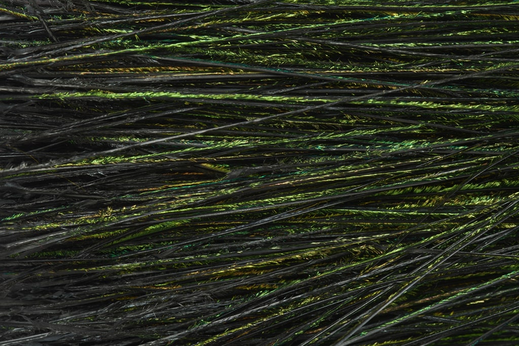 Premium Selected Peacock Herl