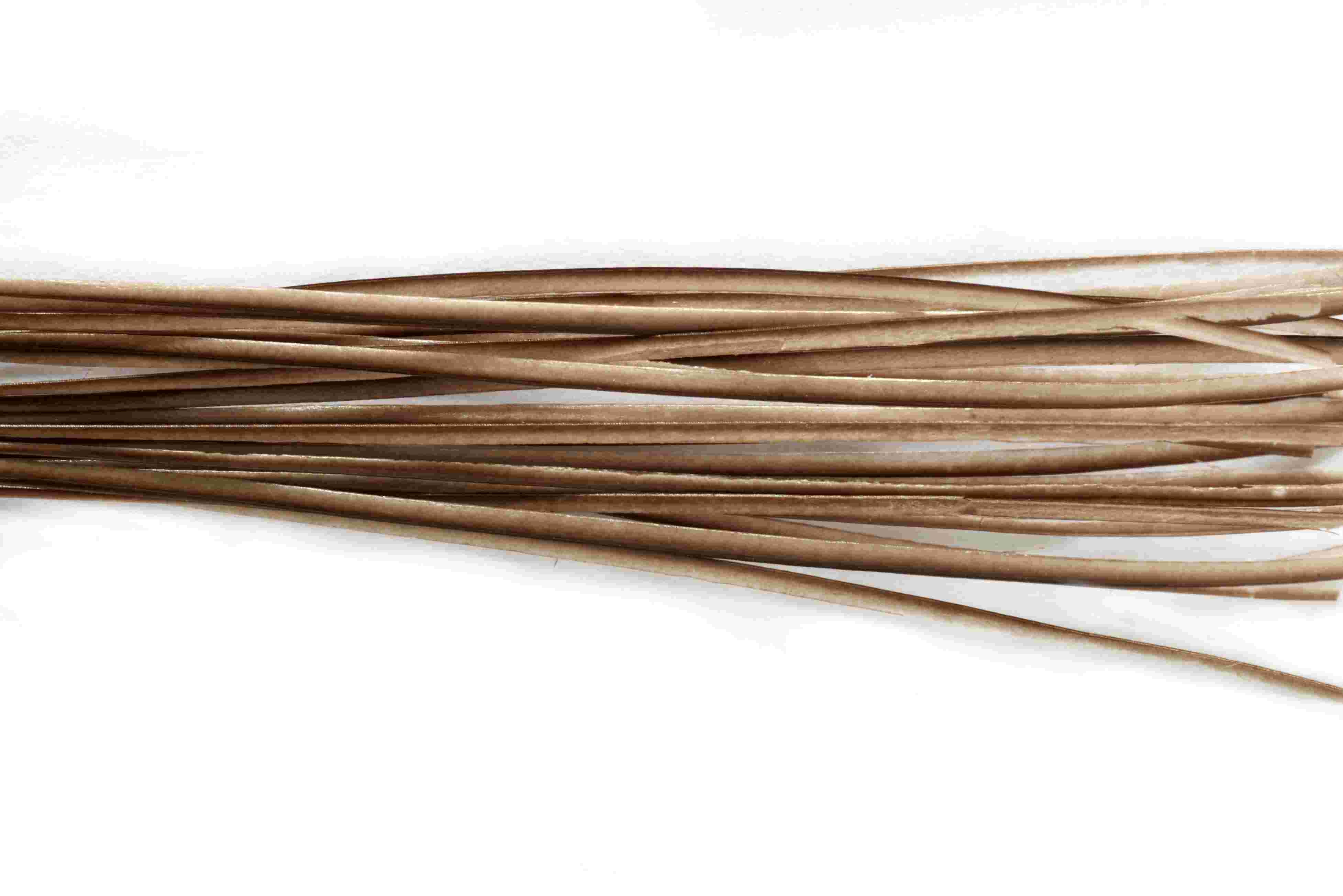 Stripped Quills