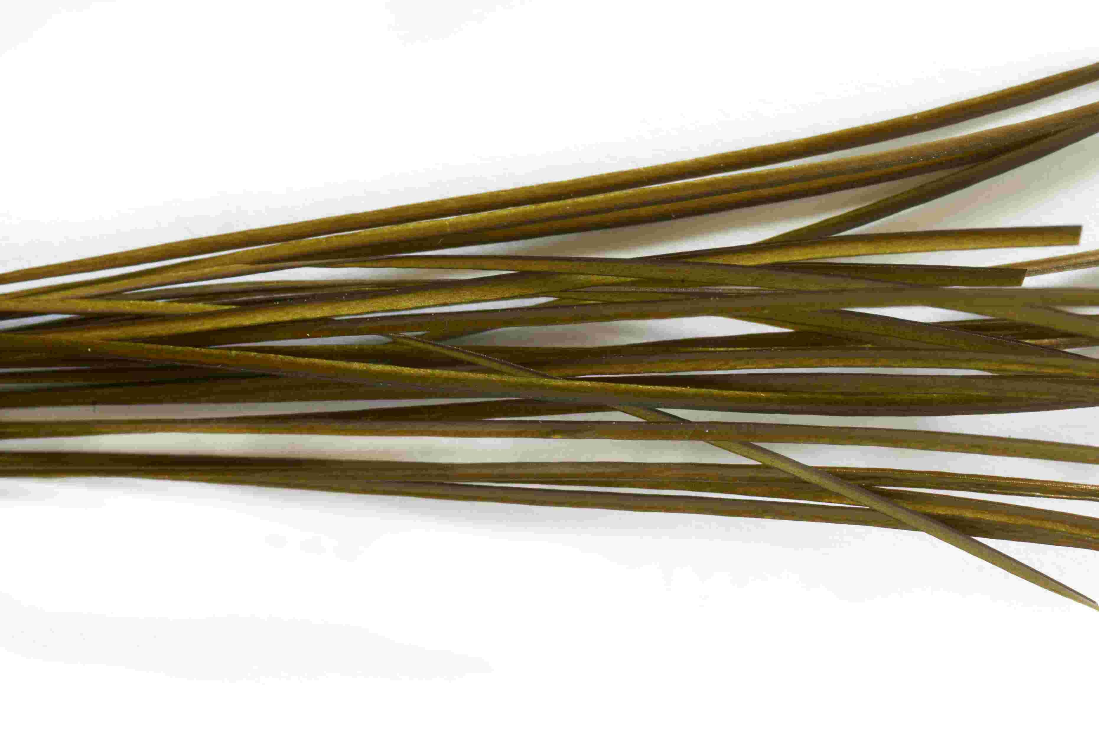 Stripped Quills