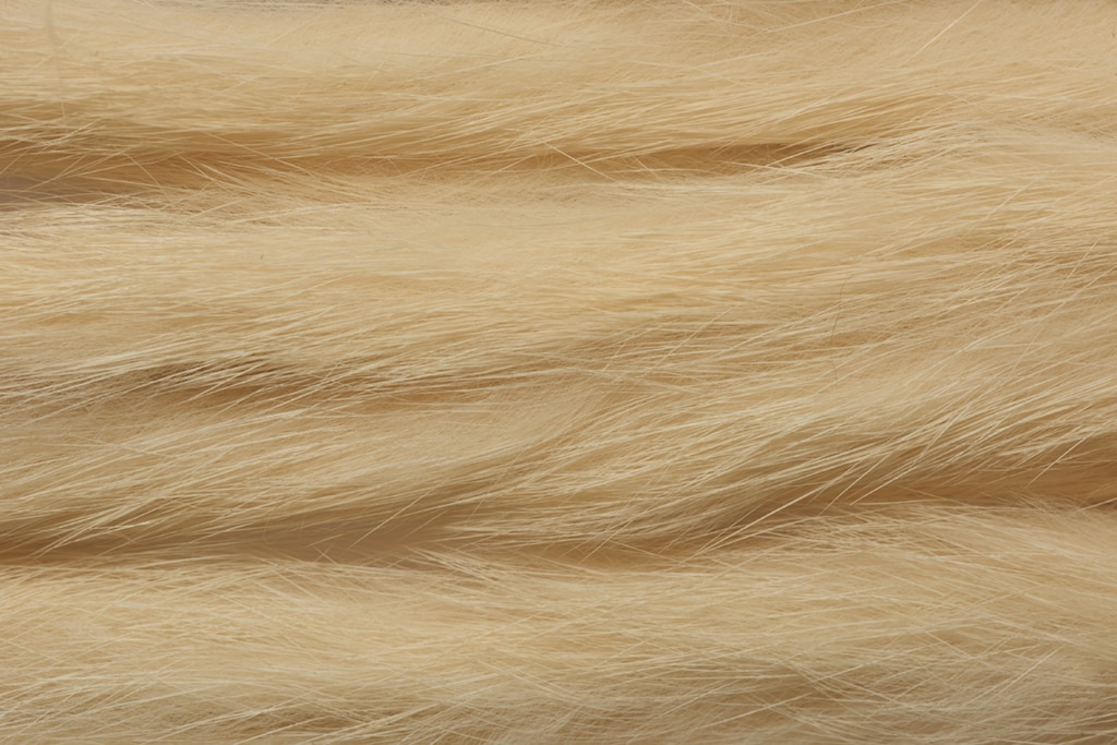 Rabbit Zonker Standard