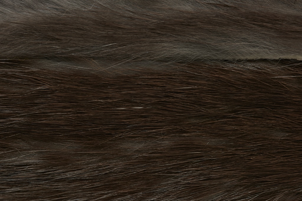 Rabbit Zonker Big Game