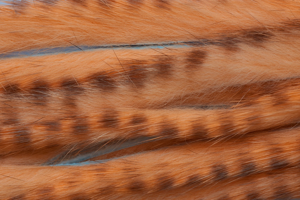 Rabbit Zonker Big Game