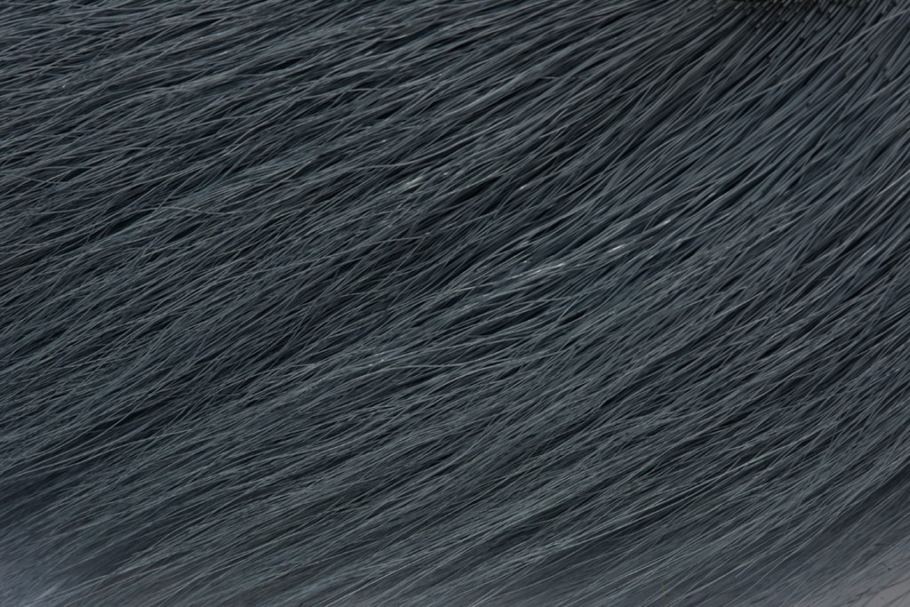 Premium Selected Bucktail | Fulling Mill Fly Tying