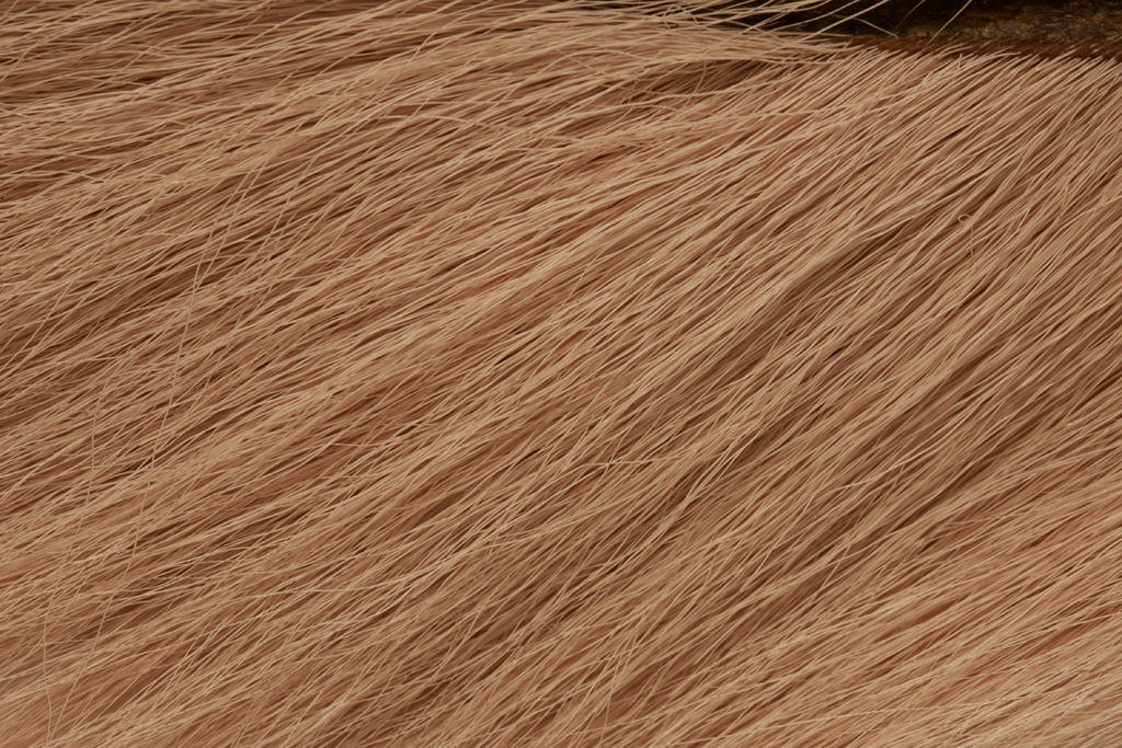 Premium Selected Deer Belly Tan