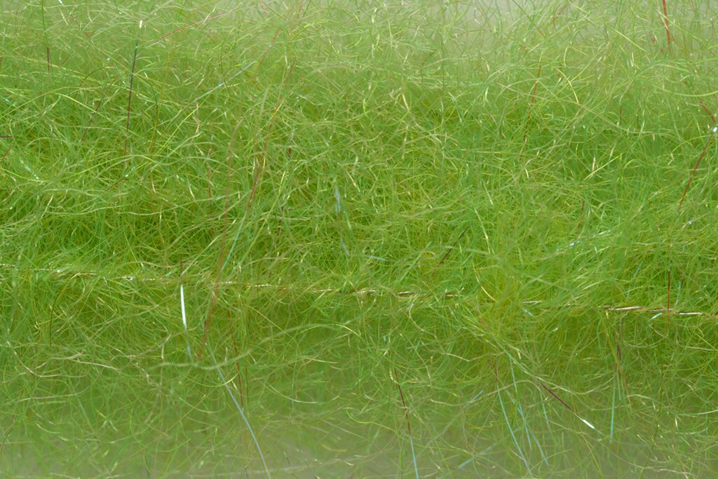 Salty Shrimp Brush Small