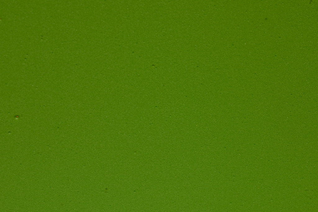 Bug Foam 2mm