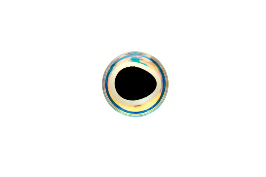 Epoxy Baitfish Eye Super Pearl
