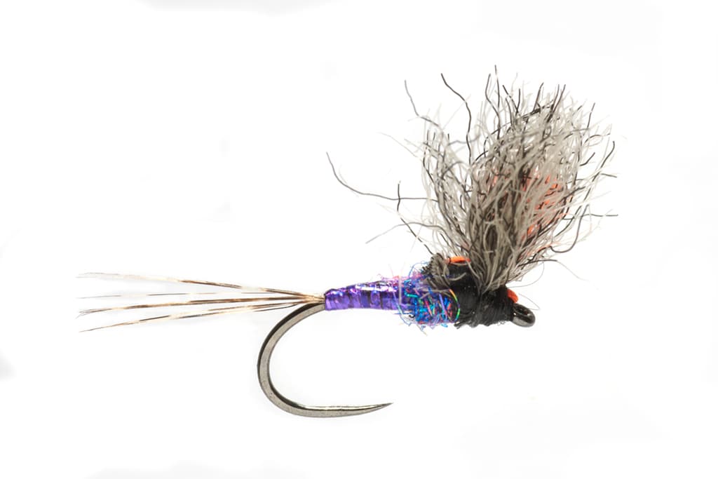 Arnot's New Age Purple Daddy Barbless