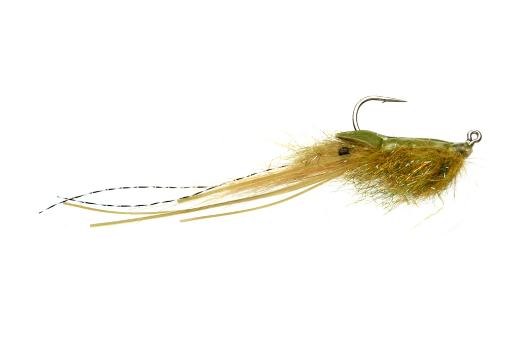 Whalley's Champagne Shrimp Olive