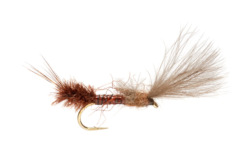 Burkus' Mahogany Cripple