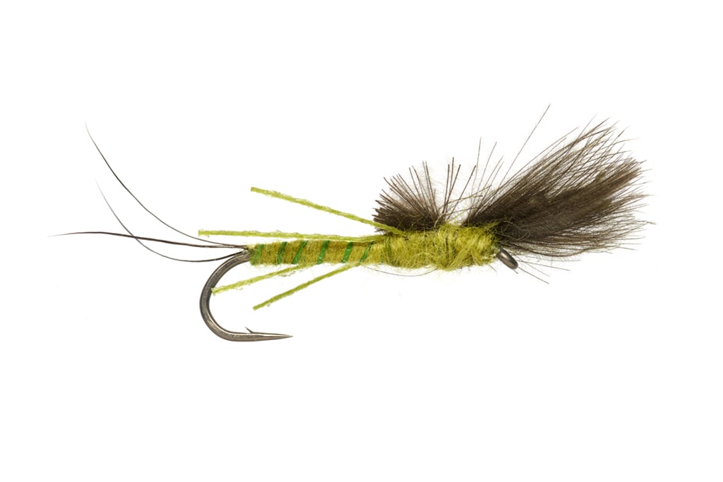 Burkus' Struggling Western Green Drake