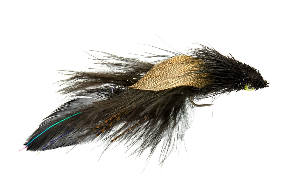 Verlac's Wedge-Head Black