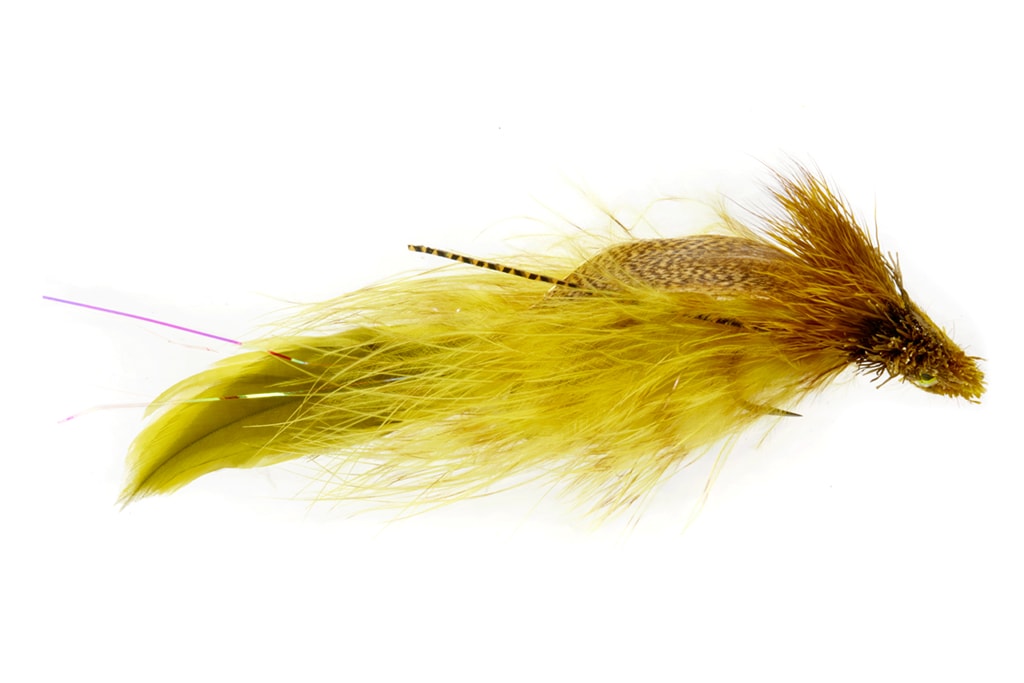 Verlac's Wedge-Head Olive & Yellow
