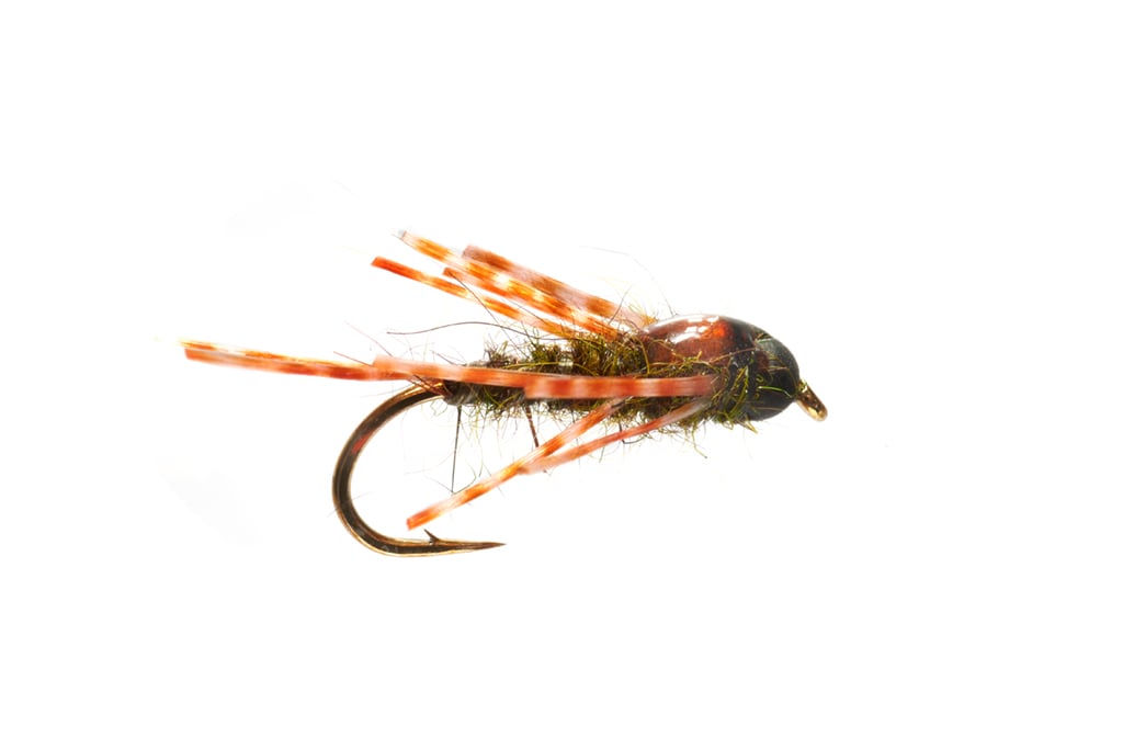 Boroff's Crazy Leg Stone Olive