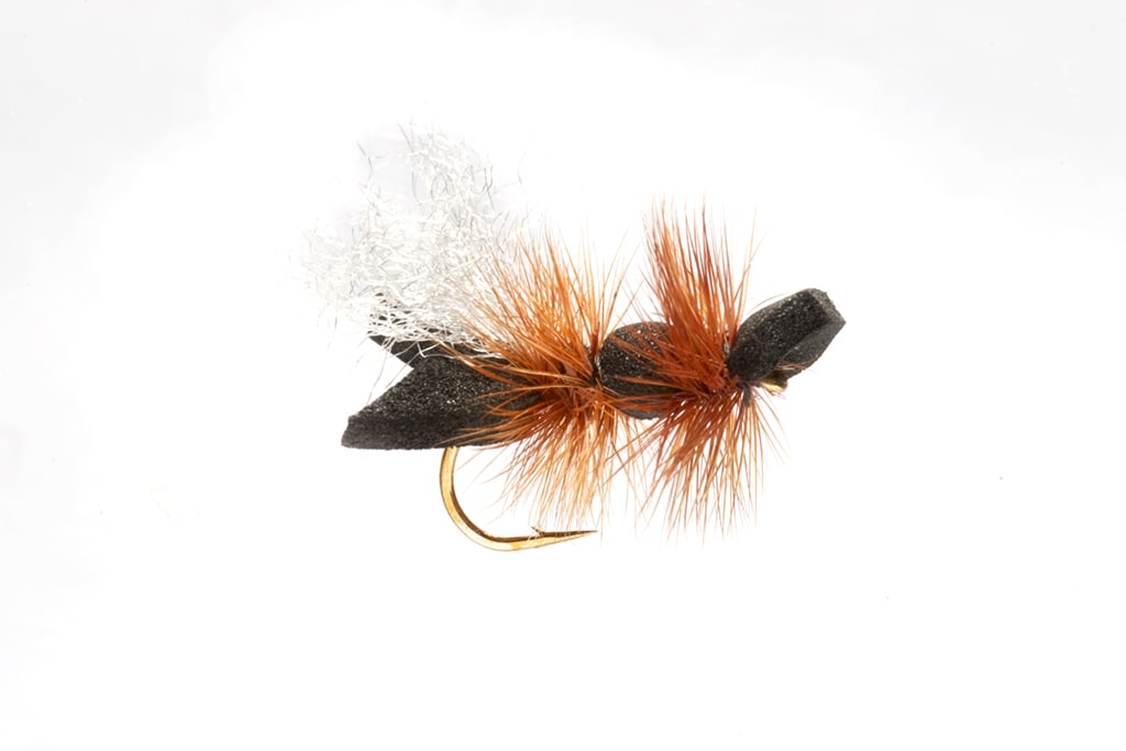 Galactic Ant Black
