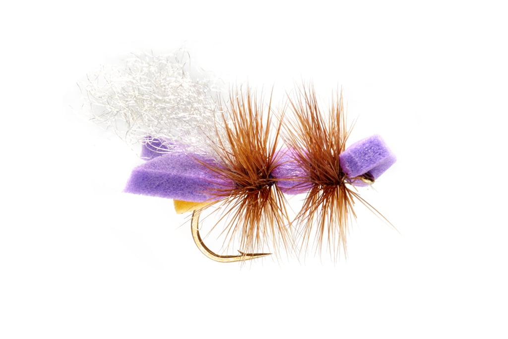 Galactic Ant Purple