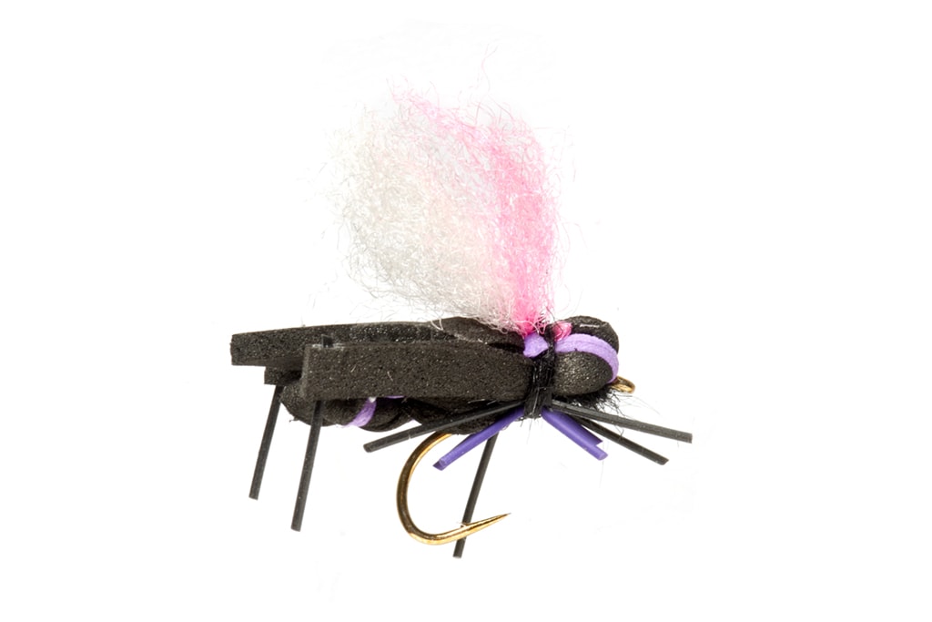 Hoptimus Prime Black & Purple