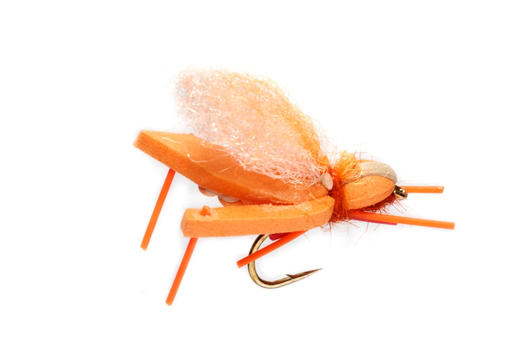 Hoptimus Prime Indicator Orange