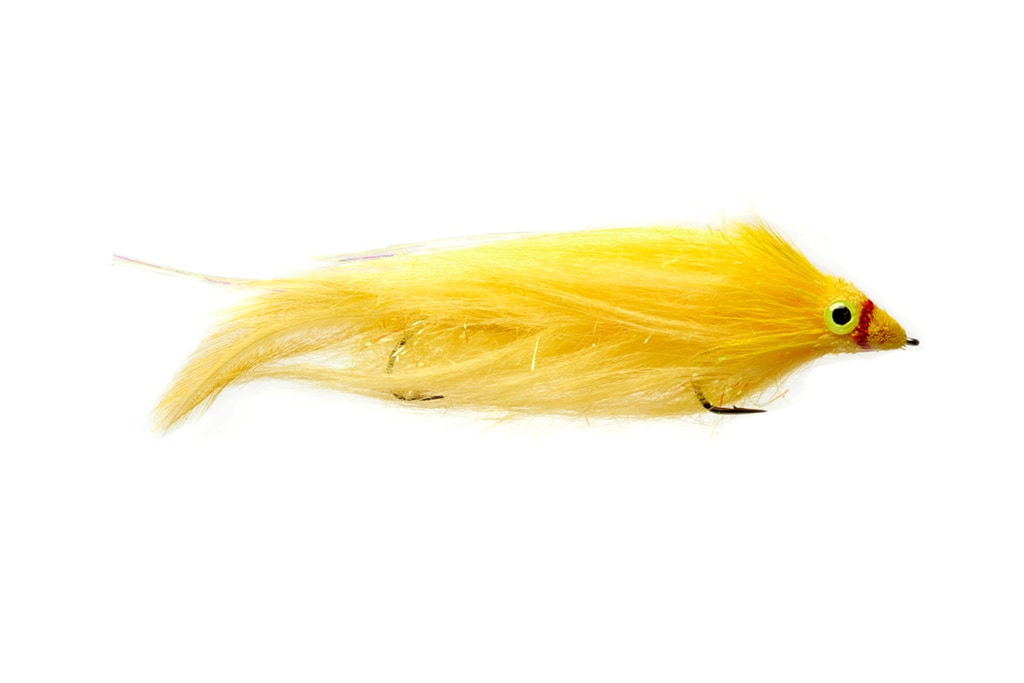 Red Stripe Diver Yellow