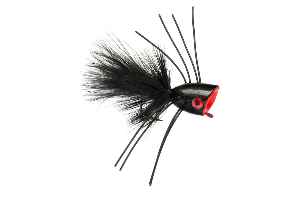 Black Popper