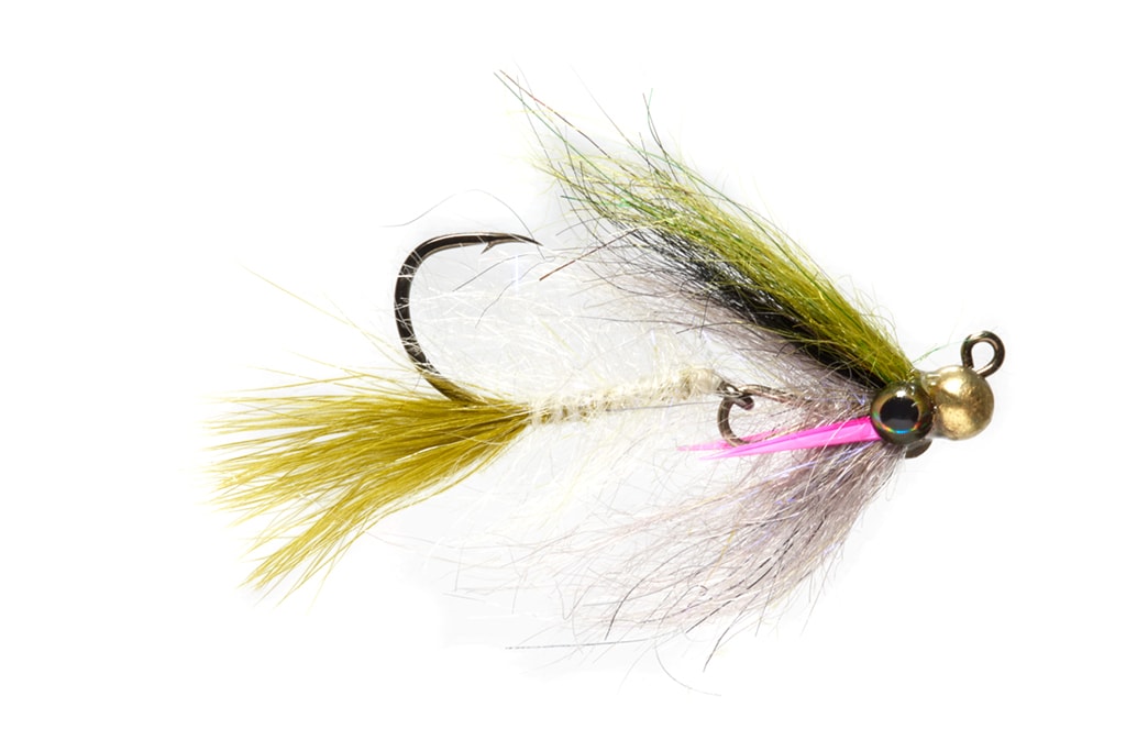 Phillips' Rainbow Yummy