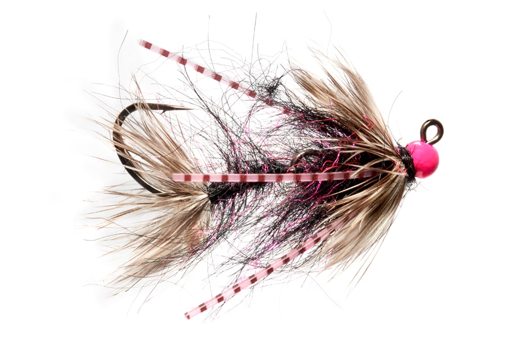 Phillips' Pink Dropper