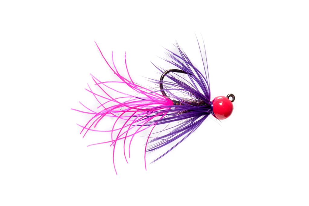 Rosenau’s Wiggle Leech Purple