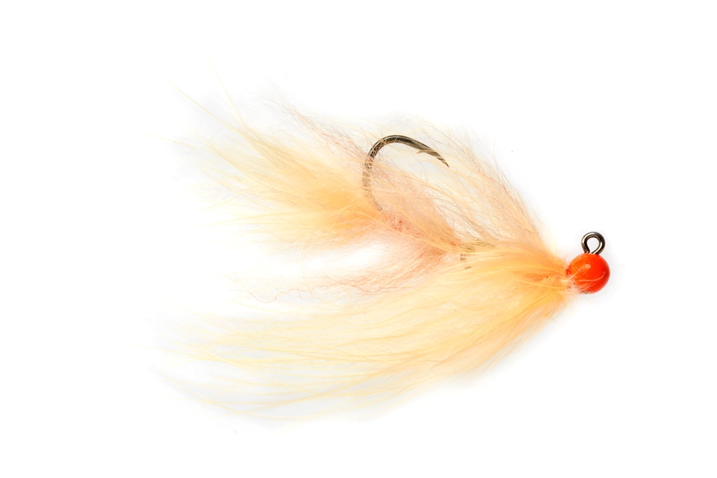 Phillips' Steamboat Island Leech