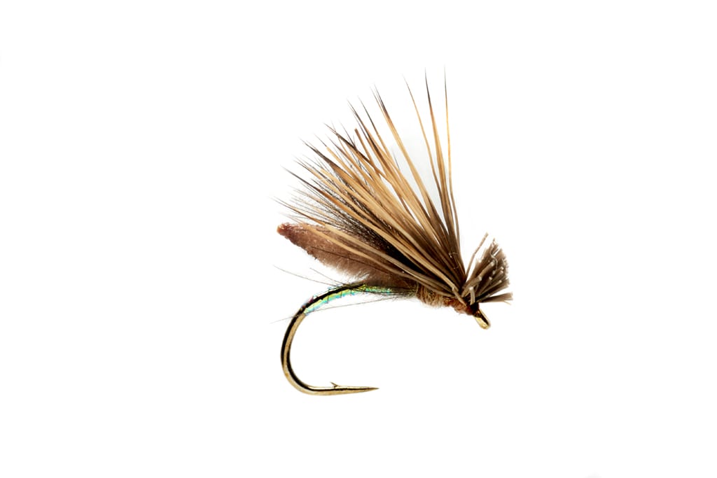 Palomino Caddis Tan