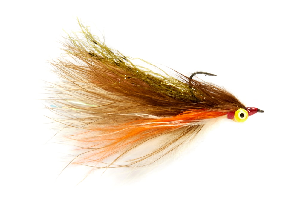 Elden's Shiner Minnow