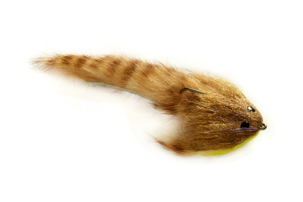 Low-Fat Sculpin Ginger