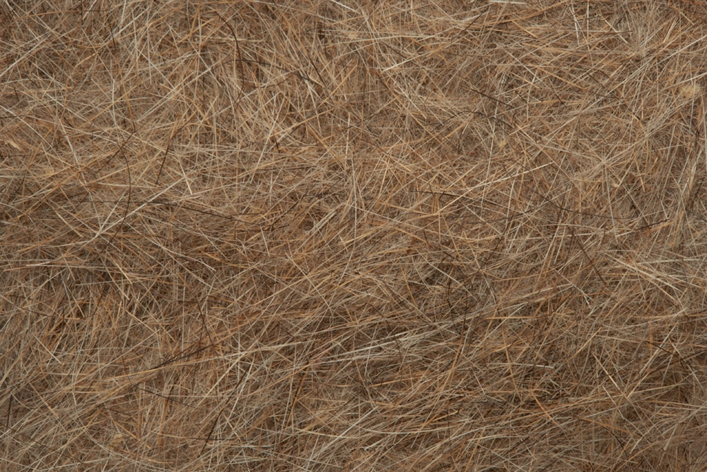 Argentine Hare Dubbing