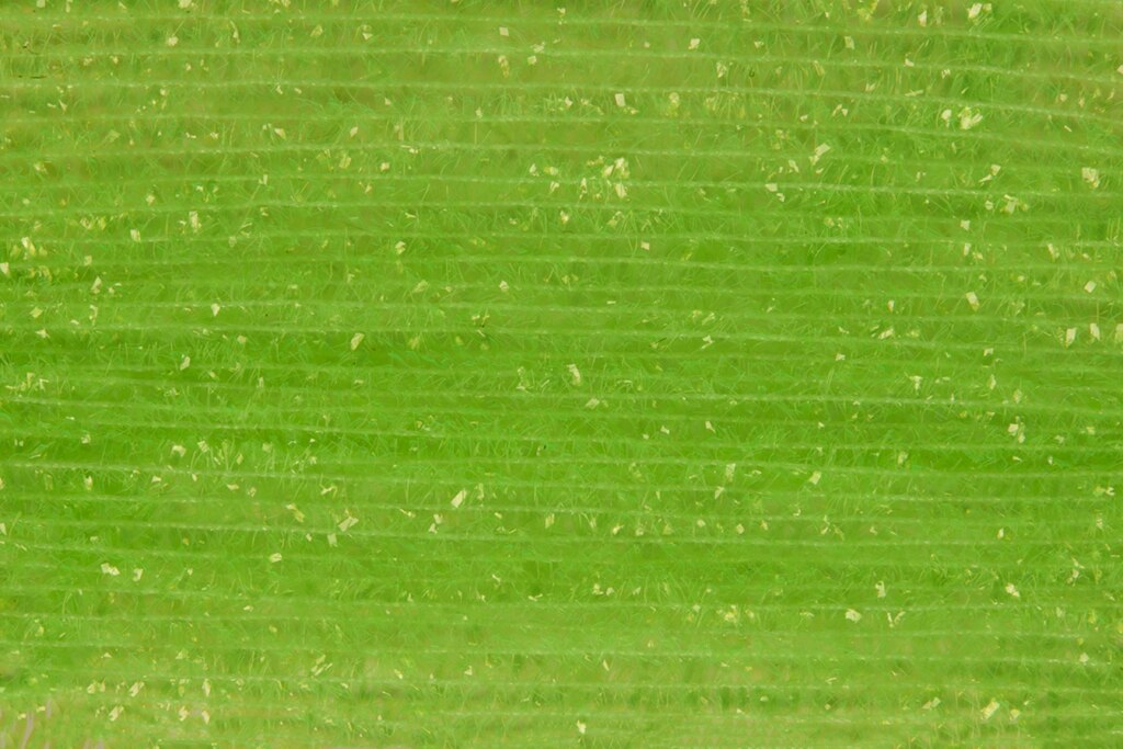 XXS Cactus Translucent