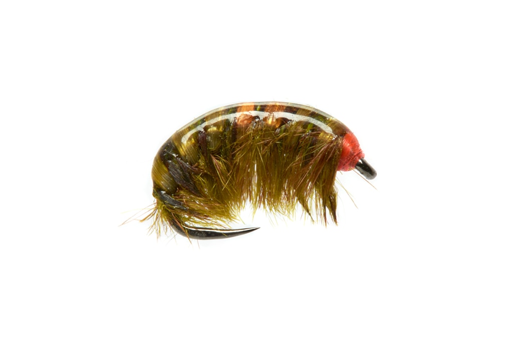 Limestoner Shrimp Olive Barbless