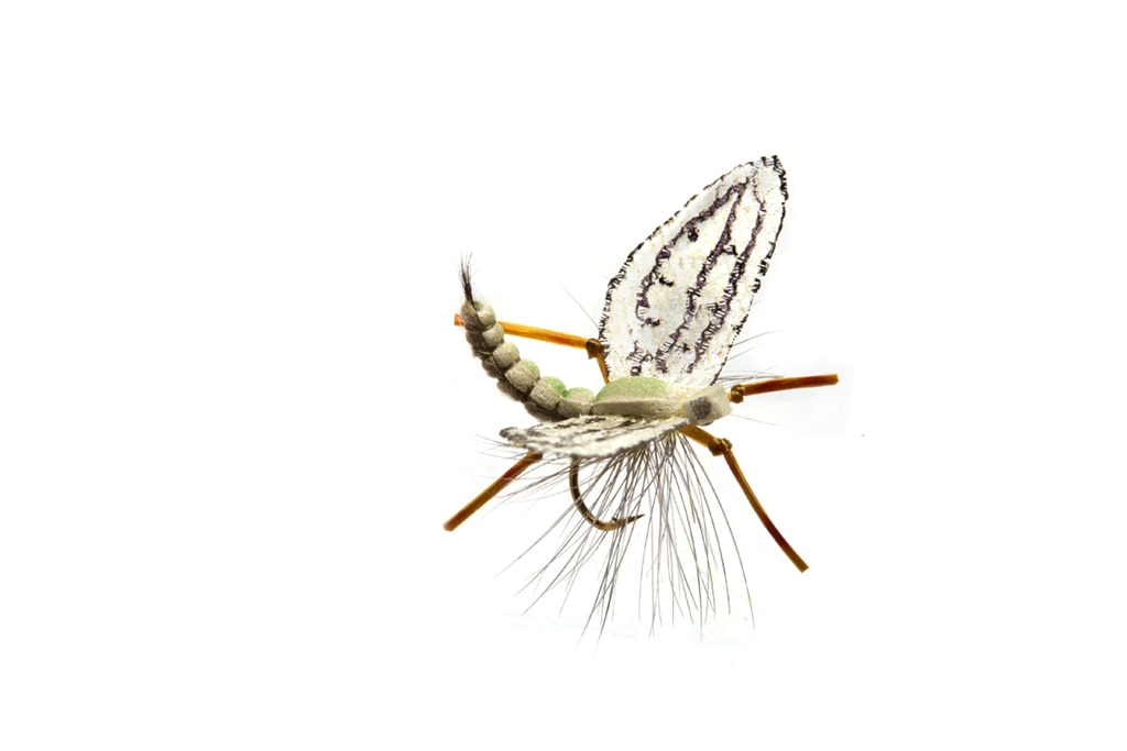 Spotts' Western Green Drake