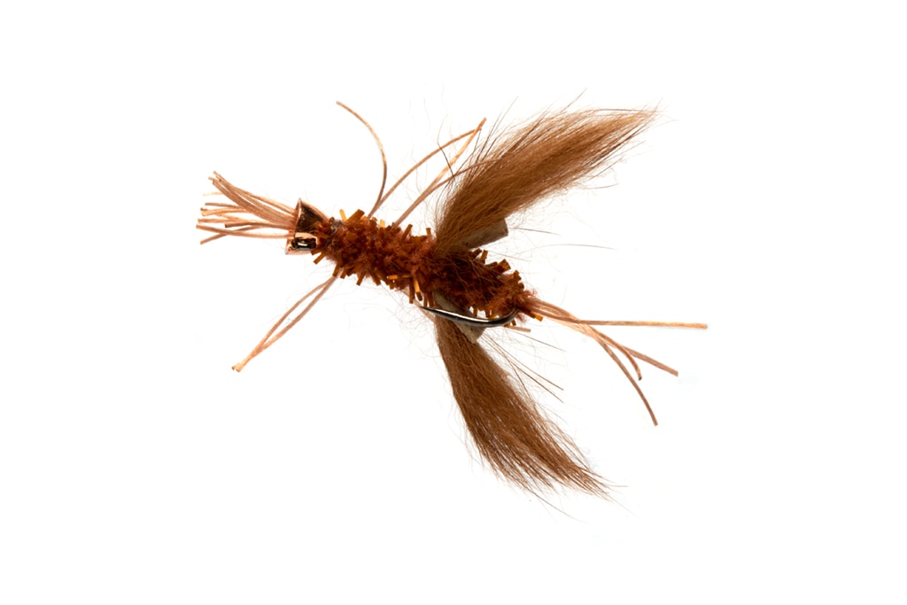 Jorgensen's Claw Dawg Brown
