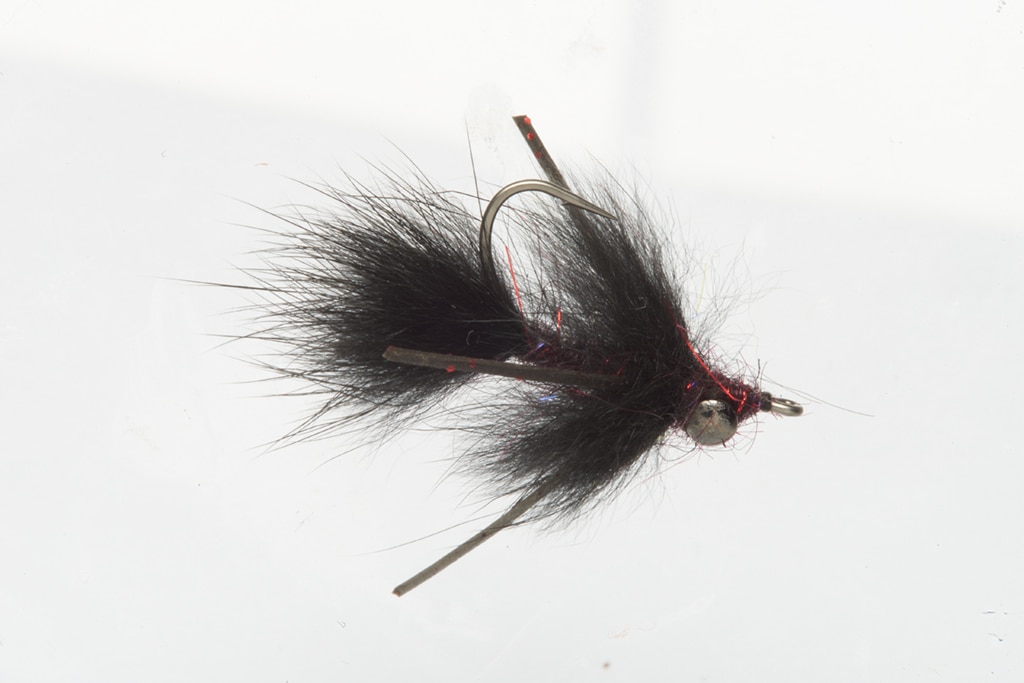 Moore's Mudskipper Weighted Black