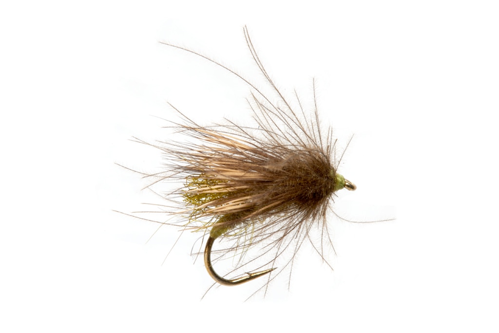 Dusty Old Bat Caddis Olive Barbless