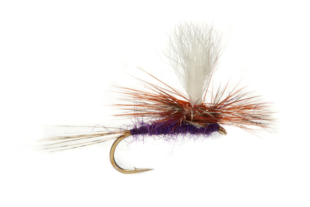 Parachute Ultra Hare Purple