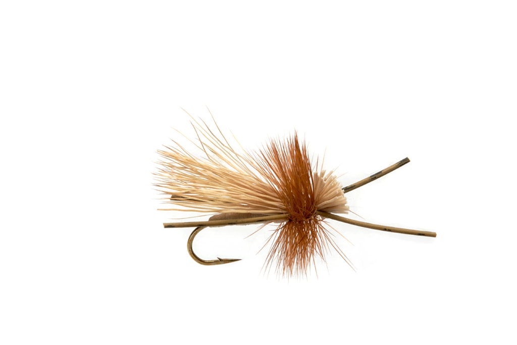 Rosenau's Rocktober Caddis Tan