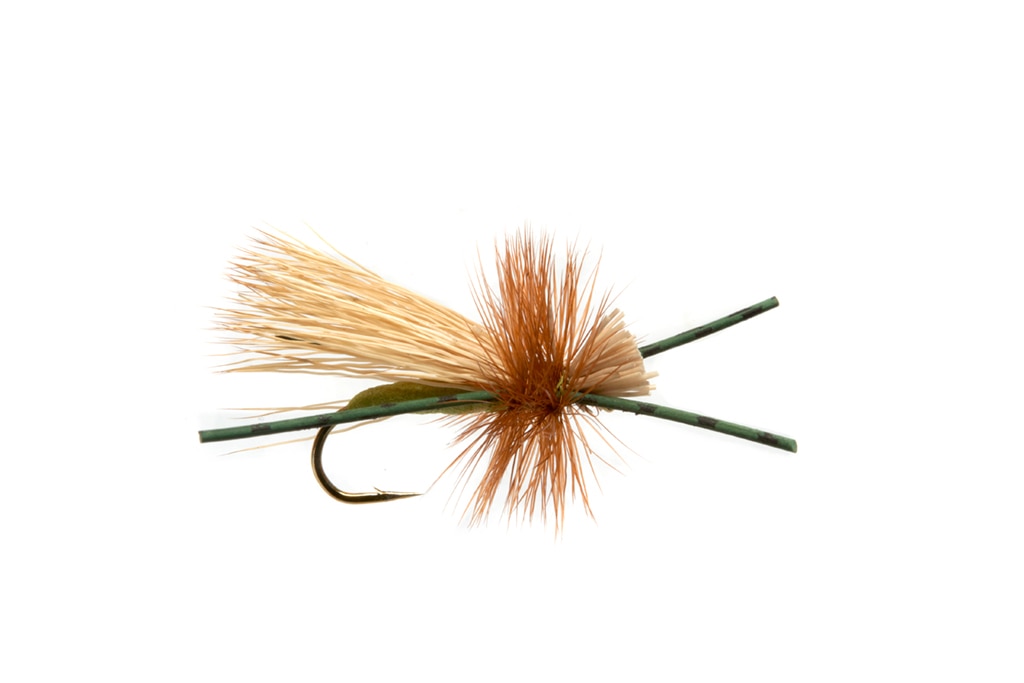 Rosenau's Rocktober Caddis Olive