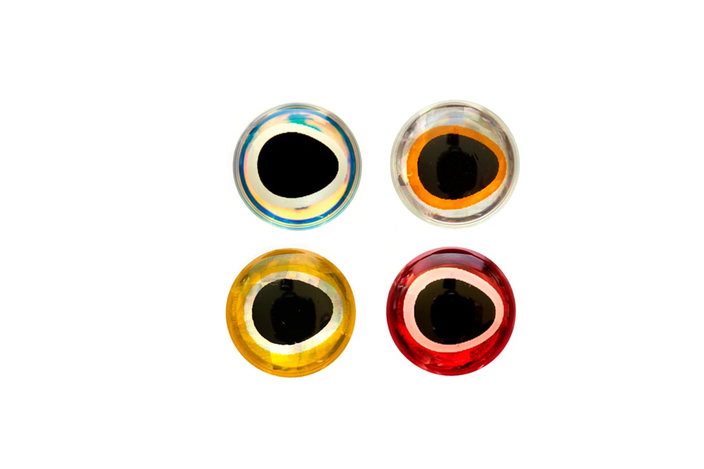Baitfish Eyes