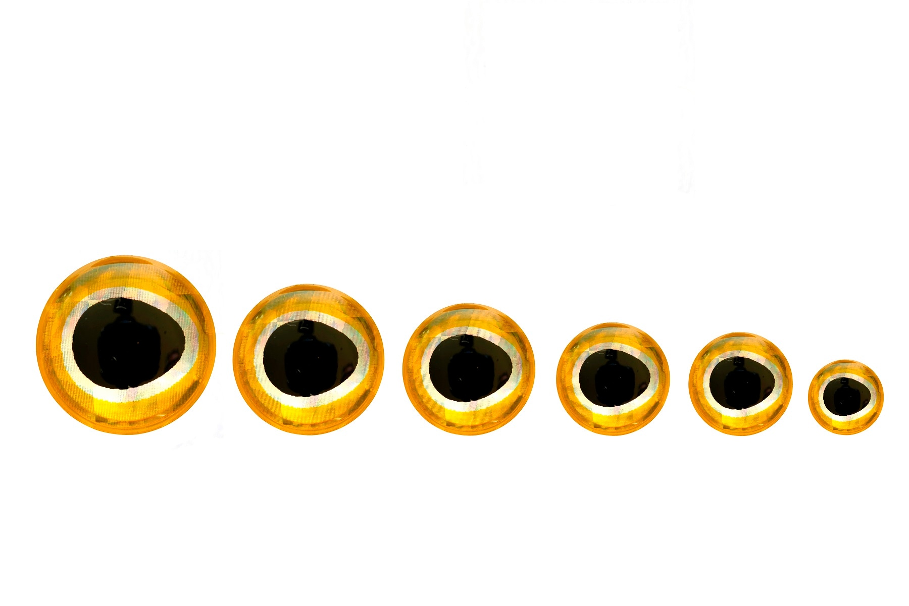Epoxy Baitfish Eye Gold